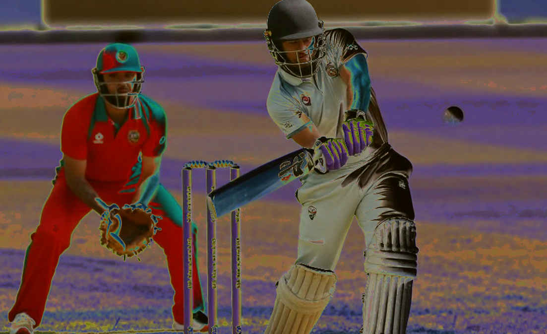 Empty File, Full Notebook: How to Read a Silent Failure in Cricket's Information Flow